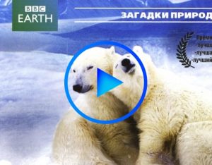 2094866 300x234 - BBC: Величайшие явления природы (Nature s Great Events) смотреть онлайн